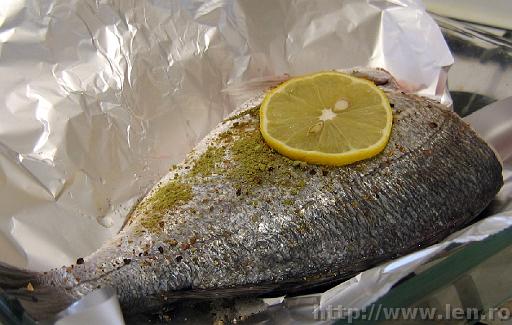 Gilthead bream