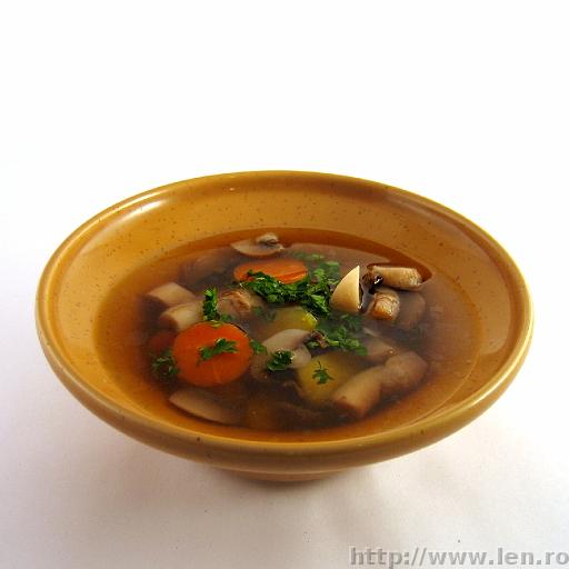 Mushroom soup