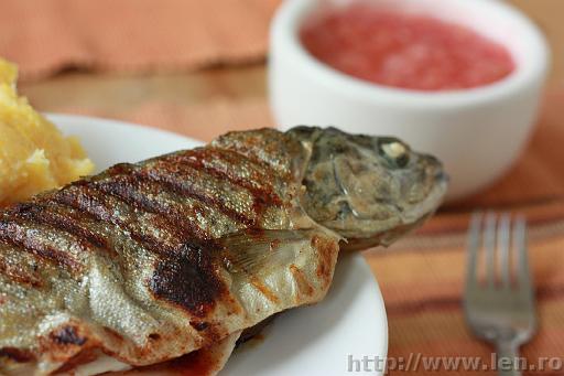 Grilled trout