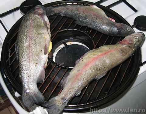 Trout cooking