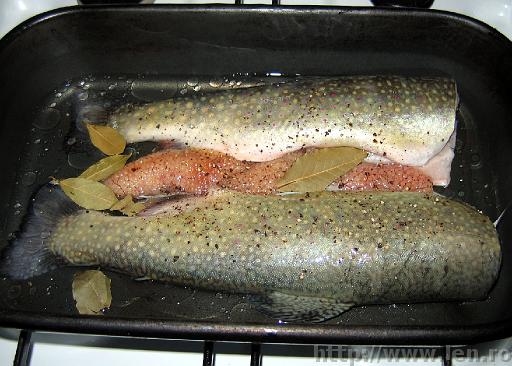 trout_for_the_oven.jpg