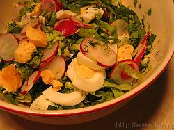 salata_de_primavara_1 * 1600 x 1200 * (906KB)