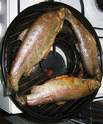 trout_cooked * 1428 x 1194 * (380KB)
